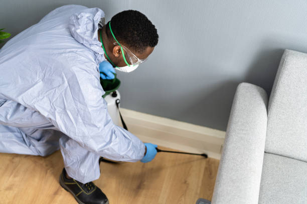 Best Fumigation Services  in University At Buffalo, NY